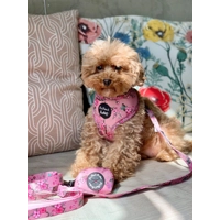 CHERRY BLOSSOM DOG HARNESS