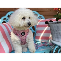 CHERRY BLOSSOM DOG HARNESS