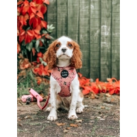CHERRY BLOSSOM DOG HARNESS