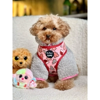 Christmas Cookies Dog HARNESS