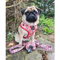 Christmas Cookies Dog HARNESS