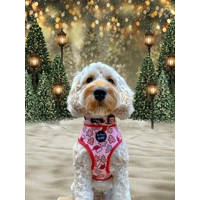 Christmas Cookies Dog HARNESS