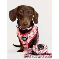 Christmas Cookies Dog HARNESS
