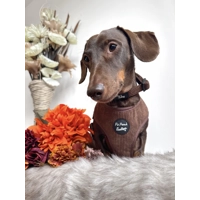 Coffee Bean Brown Cord DOG COLLAR