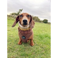Coffee Bean Brown Cord DOG HARNESS