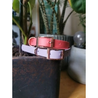 Lavender Biothane Dog Collar