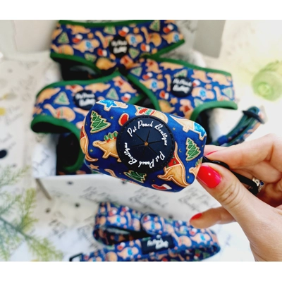Christmas Dino Rawr Biscuits Poo Bag Holder