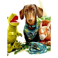 Dino Rawr POO BAG HOLDER