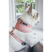 Dusky Pink Daisies  Floral Dog Collar