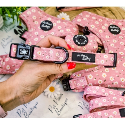 Dusky Pink Daisies  Floral Dog Collar