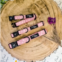 Dusky Pink Daisies  Floral Dog Collar