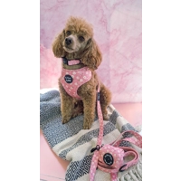 Dusky Pink Daisies Floral Lead - Reversible