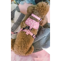 Dusky Pink Daisies Floral HARNESS