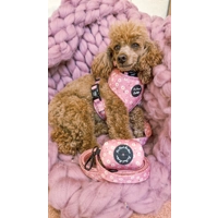 Dusky Pink Daisies  Floral Dog Collar