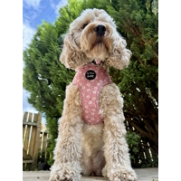 Dusky Pink Daisies Floral HARNESS