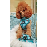 Jolly Bear Christmas Dog Poo Bag Holder