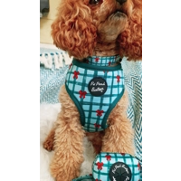 Festive Plaid Christmas Dog Lead - Reversible