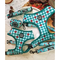 Festive Plaid Christmas Dog Lead - Reversible