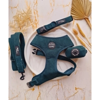 Forest Green Cord  DOG COLLAR