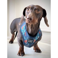 Gingerbread Biscuit Christmas Dog HARNESS