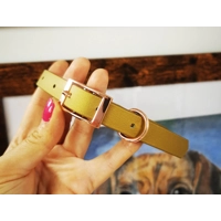 Gold Biothane Dog Collar