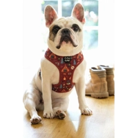 Great Adventure Dog Harness (red)