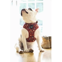 Great Adventure Dog Collar (red)