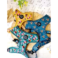 Happy Highland Cow Dog Collar