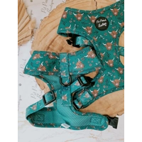 Happy Highland Cow HARNESS