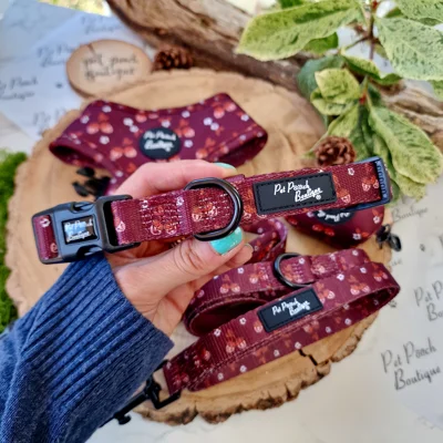 Happy Little Acorns Dog Collar