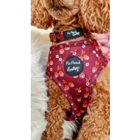 Happy Little Acorns Dog Collar