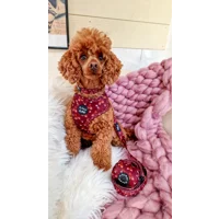 Happy Little Acorns Dog Poo Bag Holder