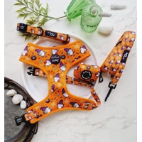 Trick Or Treat Harry Halloween Dog Collar