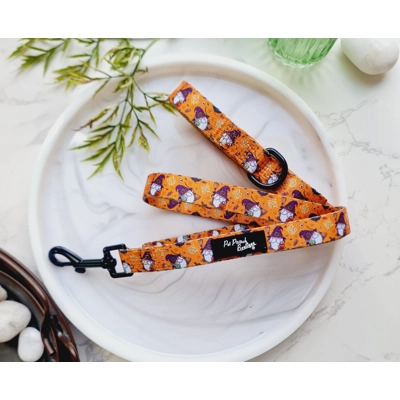 Trick Or Treat Harry Ha..