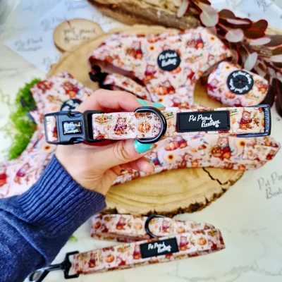 Harvest Mouse Dog Collar