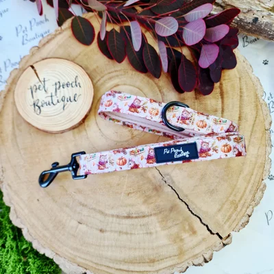 Harvest Mouse Dog Lead - Reversible