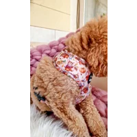 Harvest Mouse Dog HARNESS