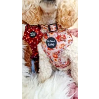 Harvest Mouse Dog HARNESS