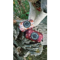 Harvest Mouse Dog Poo Bag Holder