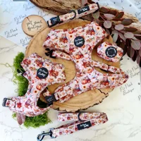Harvest Mouse Dog HARNESS