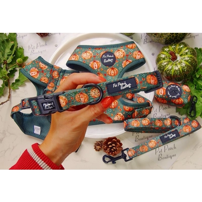 Harvest Pumpkin Patch Dog Collar