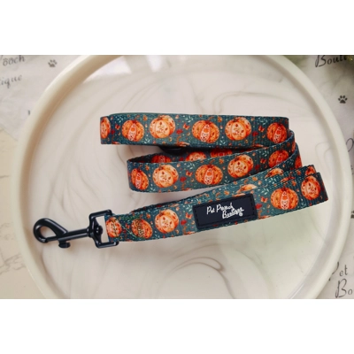 Harvest Pumpkin Patch Dog Lead - Reversible
