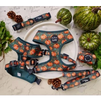 Harvest Pumpkin Patch Dog HARNESS