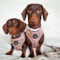 HONEY BUMBLE BEE POO BAG HOLDER