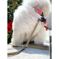 Khaki Biothane Dog Lead 15mm Wide