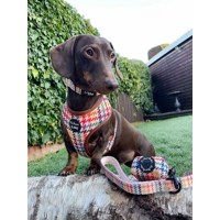 LIONHEART HOUNDSTOOTH DOG COLLAR