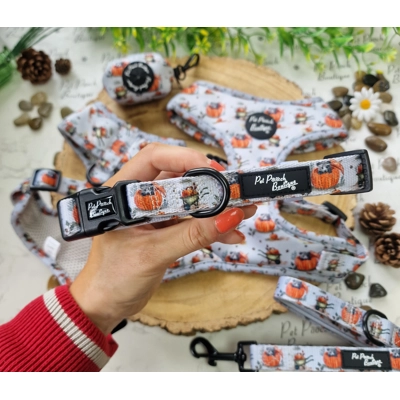 Little Pumpkin Bear Cub Dog Collar