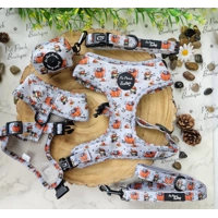 Little Pumpkin Bear Cub Dog HARNESS