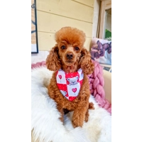 Pink Love Bug Bear Dog Bandana