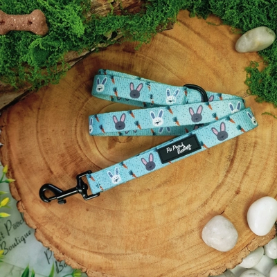 Mint Choc Chip Easter Bunny Lead - Reversible